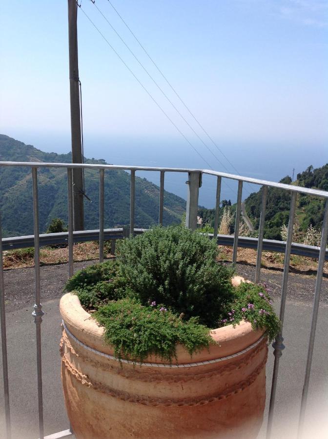 Affittacamereirosmarini Vernazza Luaran gambar